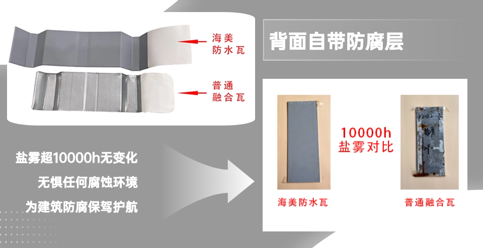 對比關(guān)系背面.png